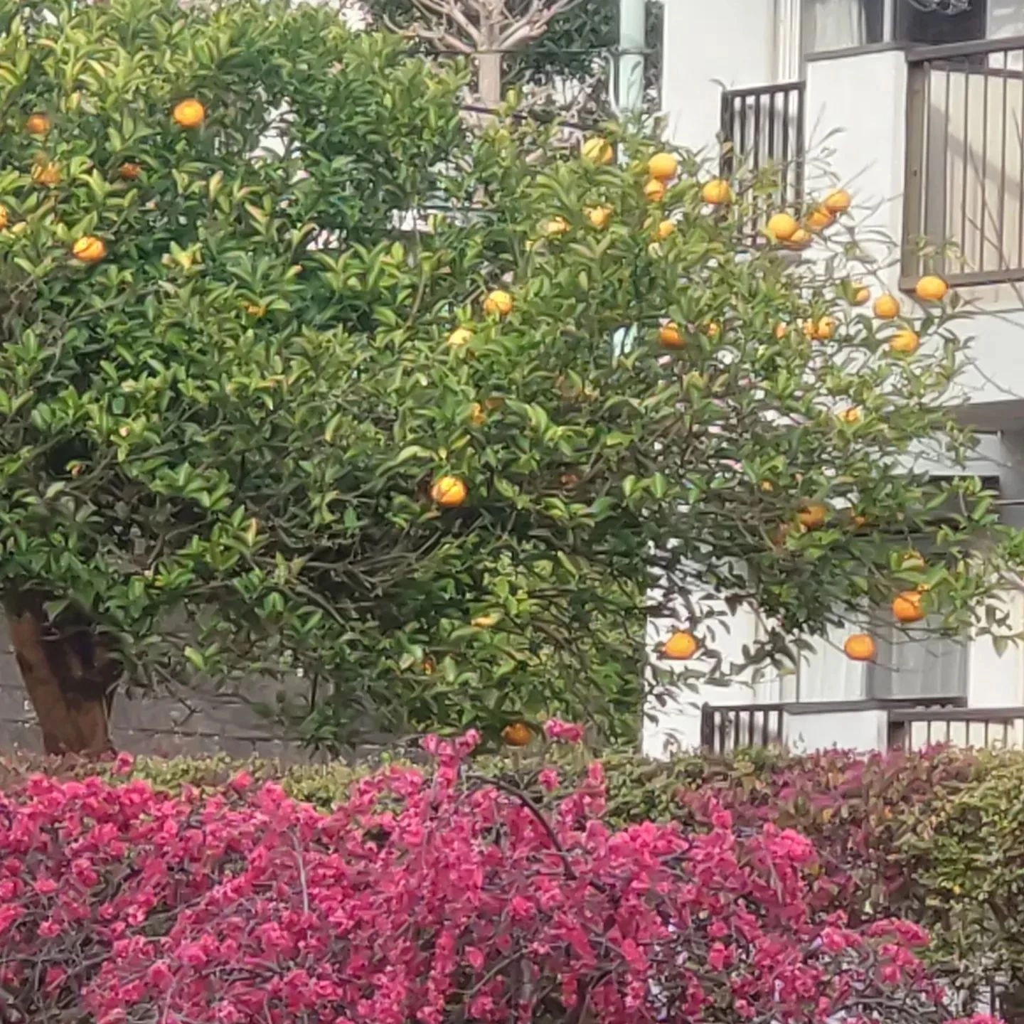 画像395