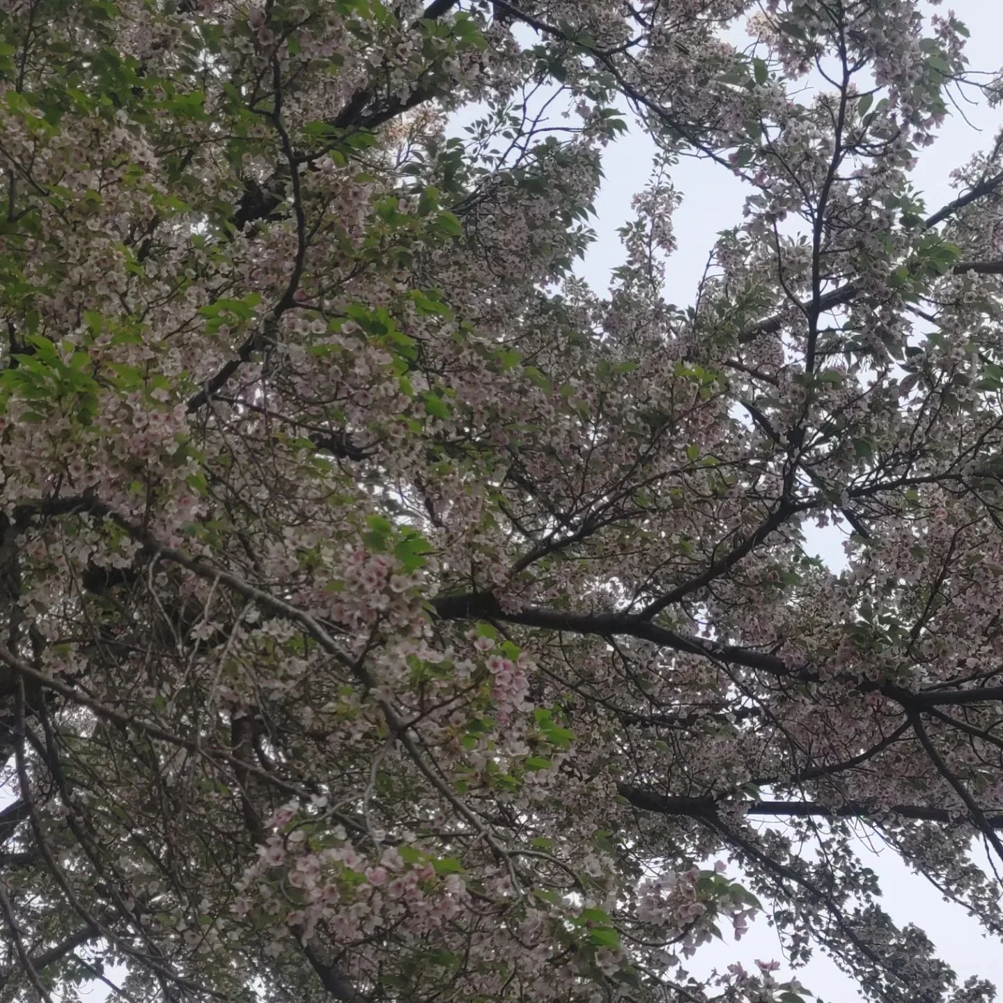 画像397