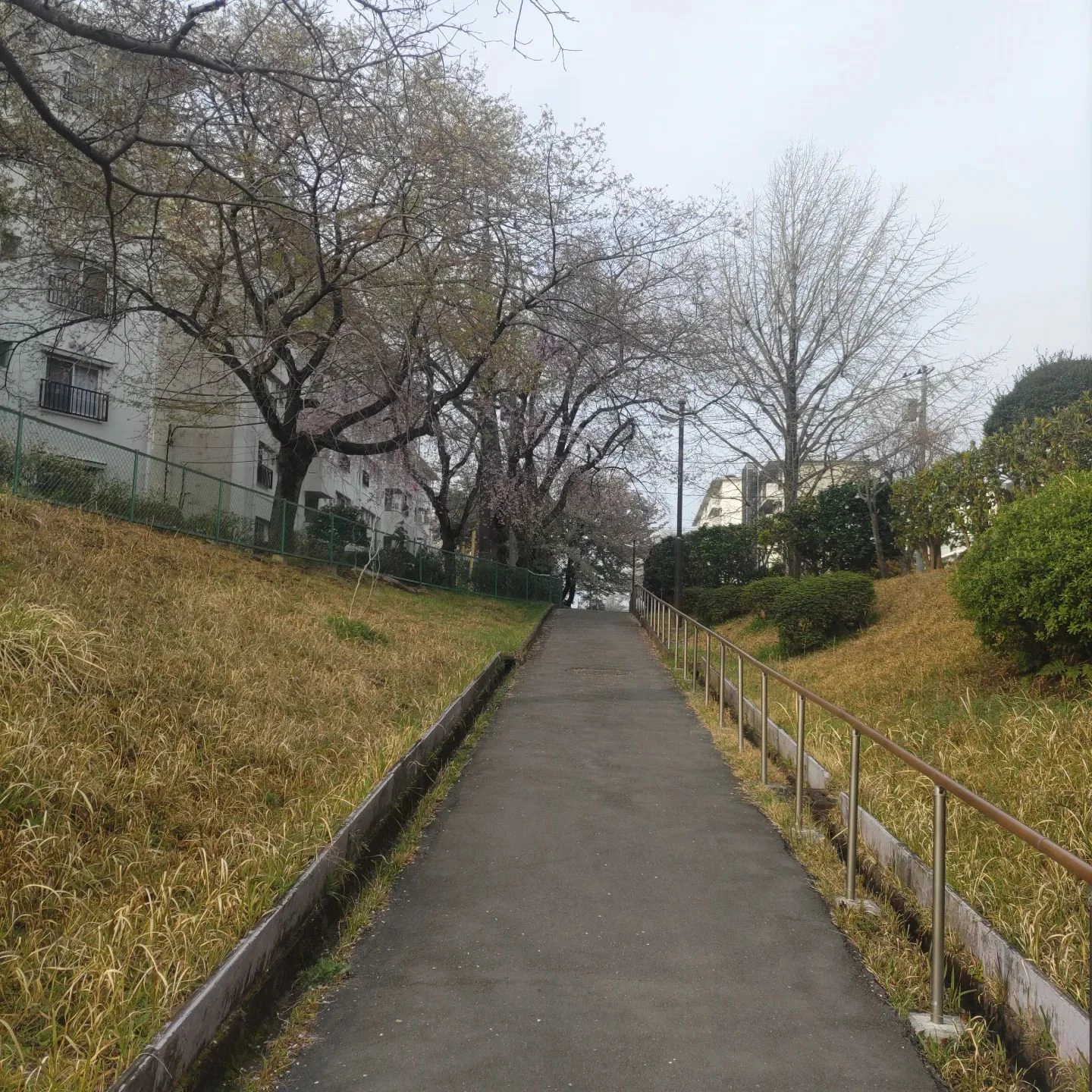 画像399